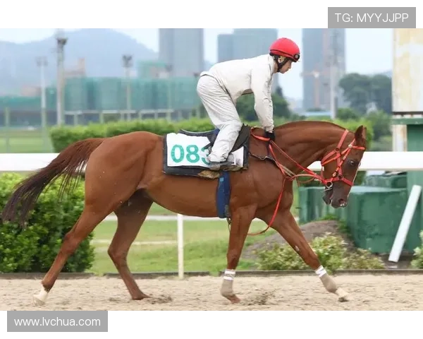 一赛马资讯详解澳门赛马历史沿革与未来发展趋势，助你成为赛马达人
