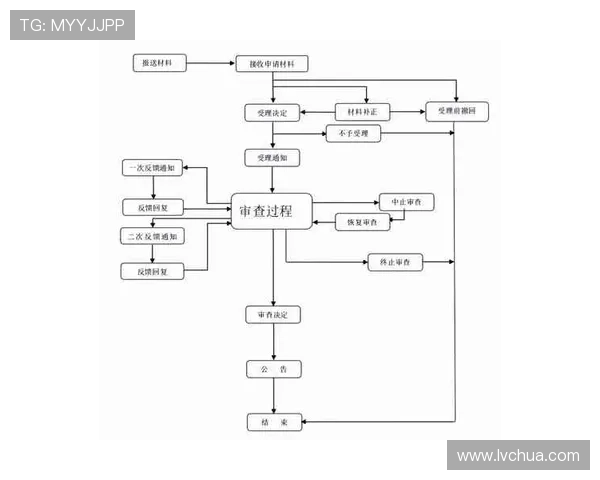 如何正确理解澳门赛马会三码公函的法律法规与操作流程