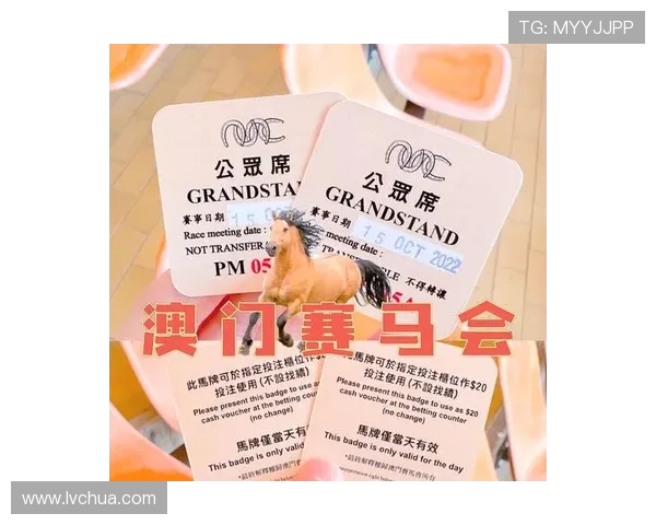 澳门赛马会网站优惠活动，最新优惠信息及澳门赛马会网站专属福利介绍